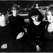 Lush - List pictures