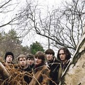 The Coral - List pictures