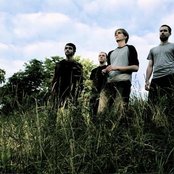 Orgone - List pictures