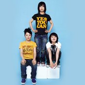 Chat Monchy - List pictures