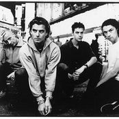 Bush - List pictures