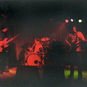 The New Lou Reeds - List pictures