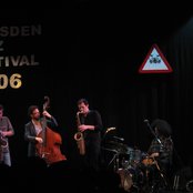 Polar Bear - List pictures