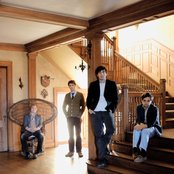 Grizzly Bear - List pictures