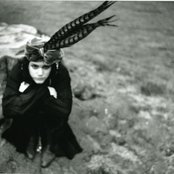 Soko - List pictures