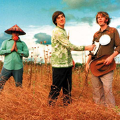 Of Montreal - List pictures