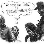 Stack Waddy - List pictures