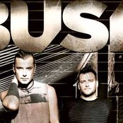 Bush - List pictures