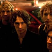 Damnwells - List pictures