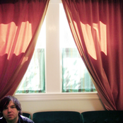 Papercuts - List pictures