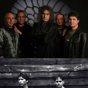 Iris - List pictures