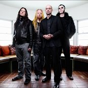 Cold - List pictures