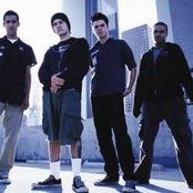 The Dingees - List pictures