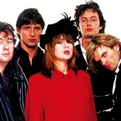 The Divinyls - List pictures