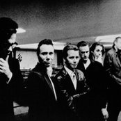 Nick Cave & The Bad Seed - List pictures