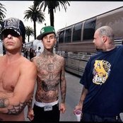 Transplants - List pictures