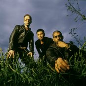 Wide Mouth Mason - List pictures