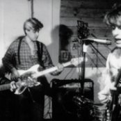 The Woodentops - List pictures