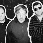 Mad Dog Loose - List pictures