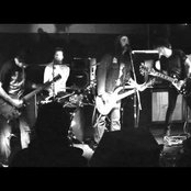 Usnea - List pictures