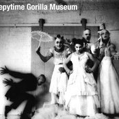 Sleepytime Gorilla Museum - List pictures