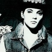 Westworld - List pictures