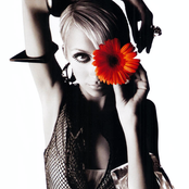 Nicole Richie - List pictures