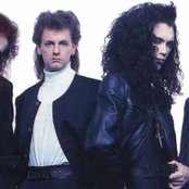 Dead Or Alive - List pictures