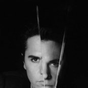 Gazebo - List pictures