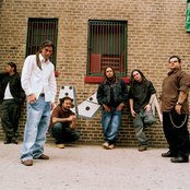 Ill Niño - List pictures