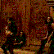 The Wake - List pictures