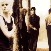 Til Tuesday - List pictures