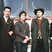 Wall Of Voodoo - List pictures