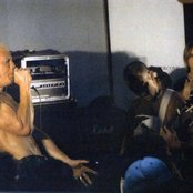 Crashdog - List pictures