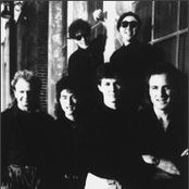 Rippingtons - List pictures