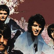 Grassroots - List pictures