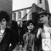 Caifanes - List pictures