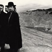 U2 - List pictures
