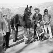 Belle And Sebastian - List pictures
