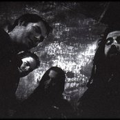 Agoraphobic Nosebleed - List pictures