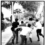 New Pornographers - List pictures