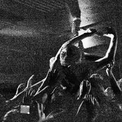 Donots - List pictures