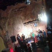 Woodpigeon - List pictures