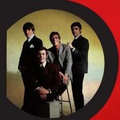 The Shadows - List pictures