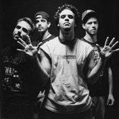 Puya - List pictures