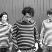 Wombats - List pictures