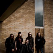 Pantheist - List pictures