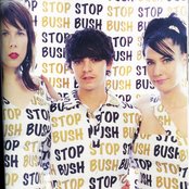 Le Tigre - List pictures