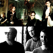 Sugar - List pictures