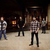 Butchers Blind - List pictures